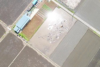 葛飾若草幼稚園 農園開設(埼玉県吉川市)