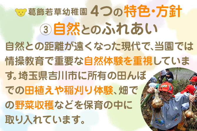 葛飾若草幼稚園 ４つの特色・方針 ③自然とのふれあい